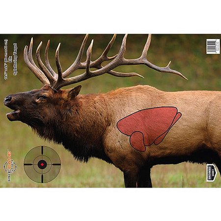 PREGAME Elk 16.5 x 24 Target - 3 targets