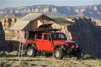 ARB USA/OLD MAN EMU ROOFTOP TENT LADDER