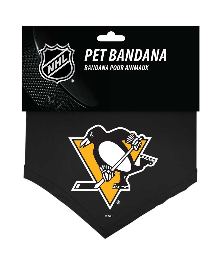 BOSTON BRUINS Dog Bandana