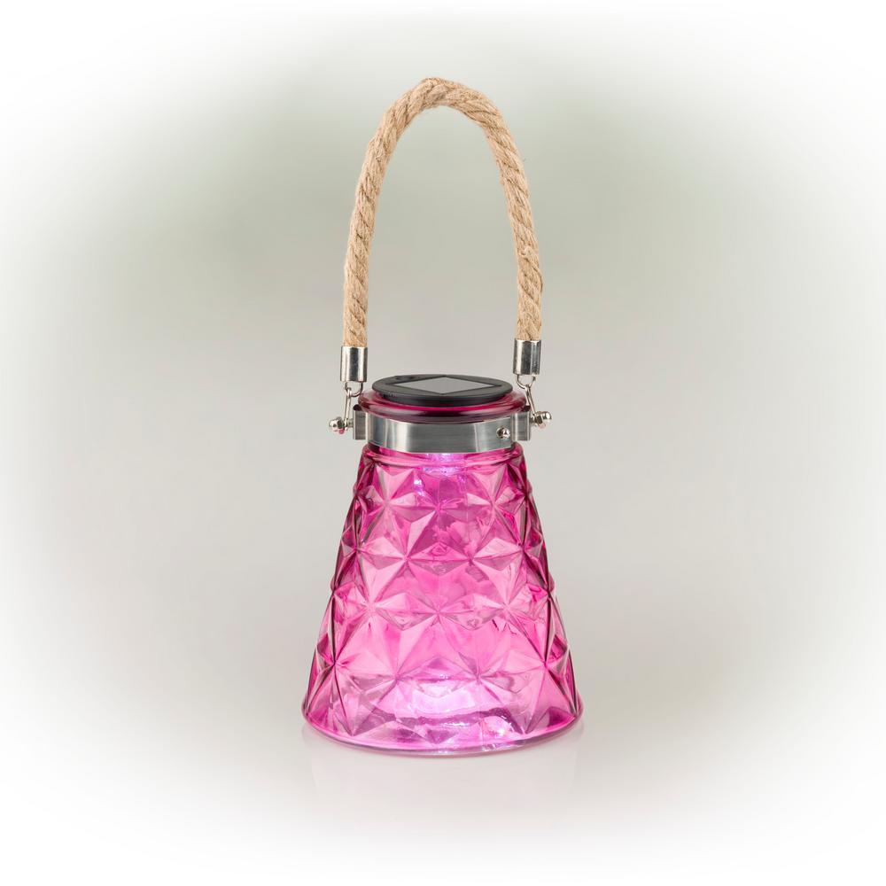 Solar Pink LED Bee Catcher DTcor - Set of 2