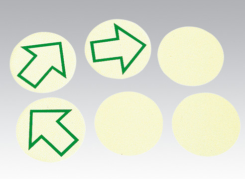 Anti-Skid Photoluminescent Vinyl Floor Dots (12-pack)