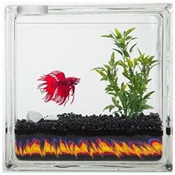 Aquablock Aqua Betta Personal Aquarium