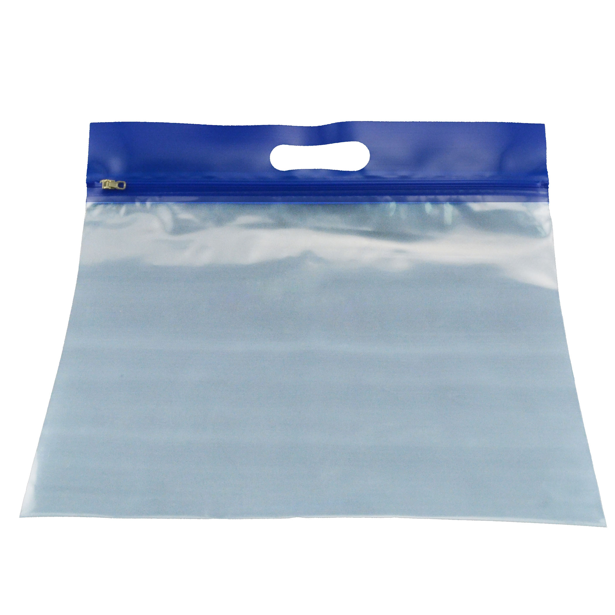 Storage Bag, Blue, Pack of 25