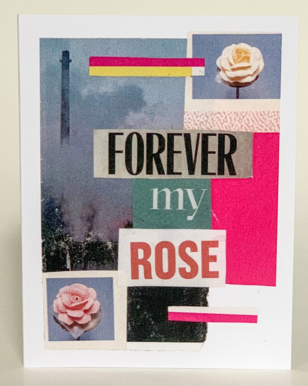 Love Greeting Card (Pack of 6) - Forever My Rose