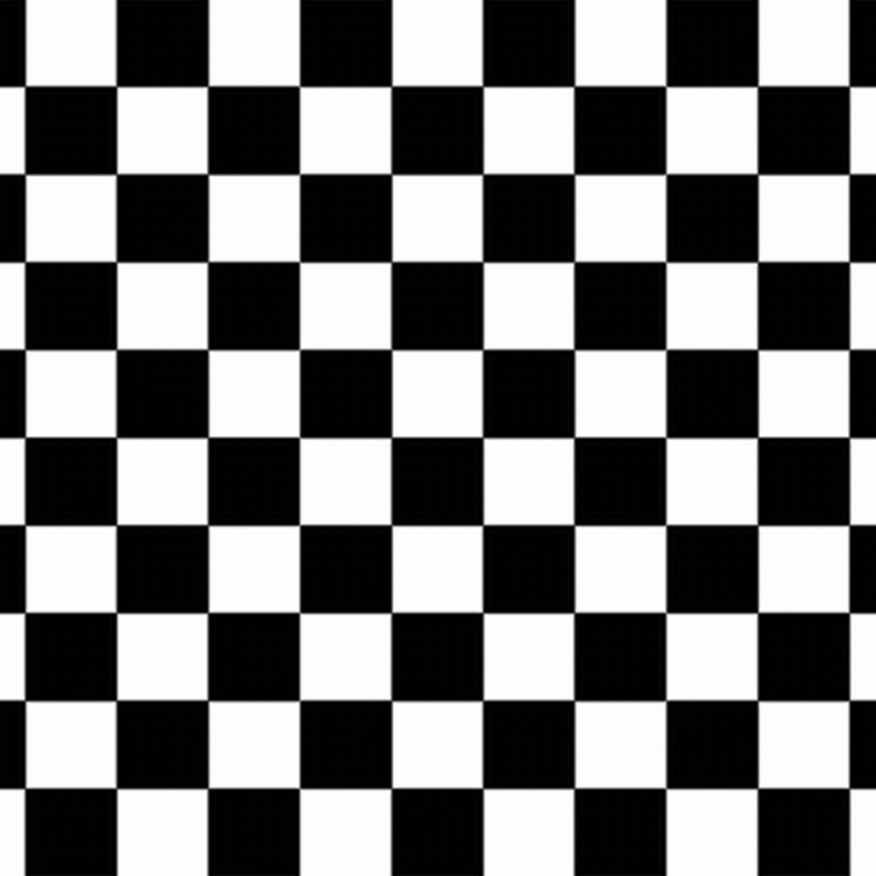 Themed Backdrops - Racing Checkered Backdrop