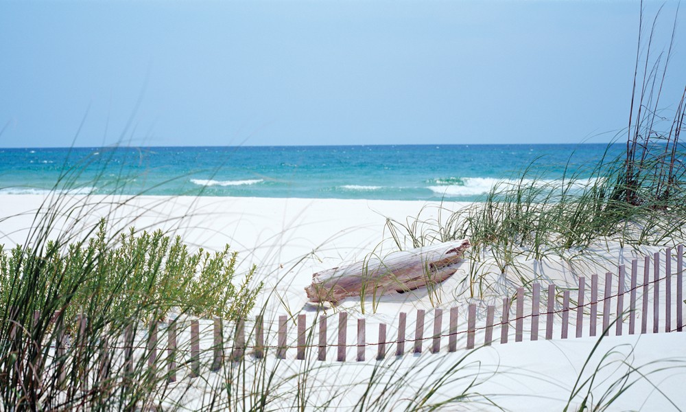 Biggies 120" Carolina Coast Photograph Window Well Scenes 