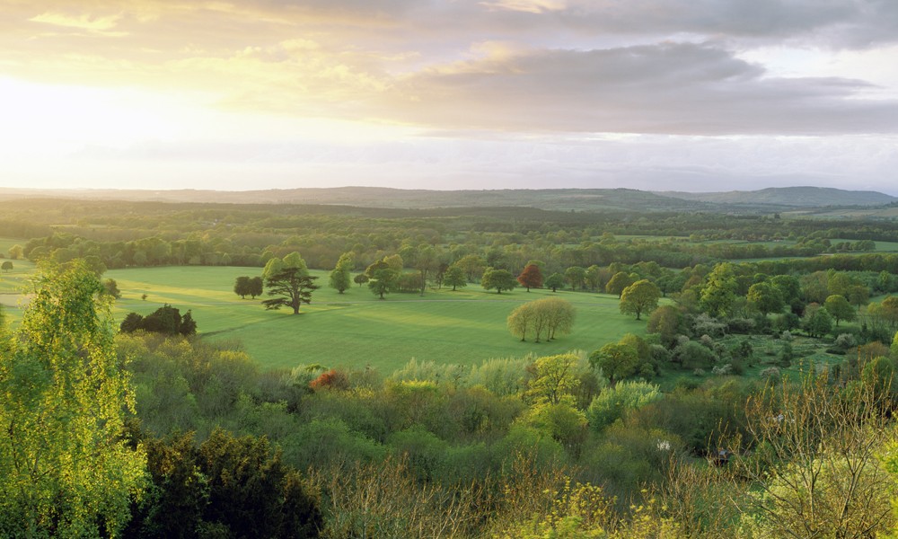 Biggies 120" Valley Photograph Window Well Scenes 