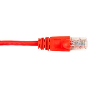 CAT6 250 UTP PVC MSG RD 3'