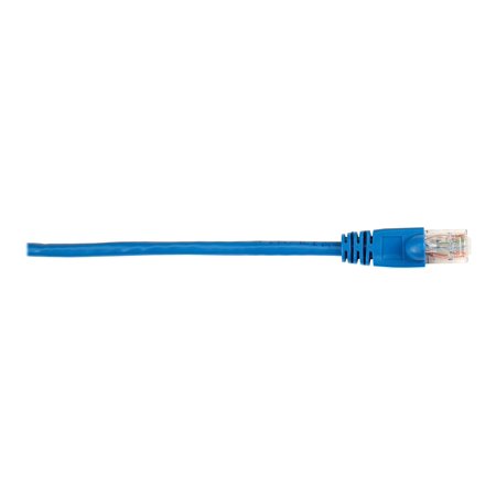 CAT6 250 UTP PVC MSG BL 7'