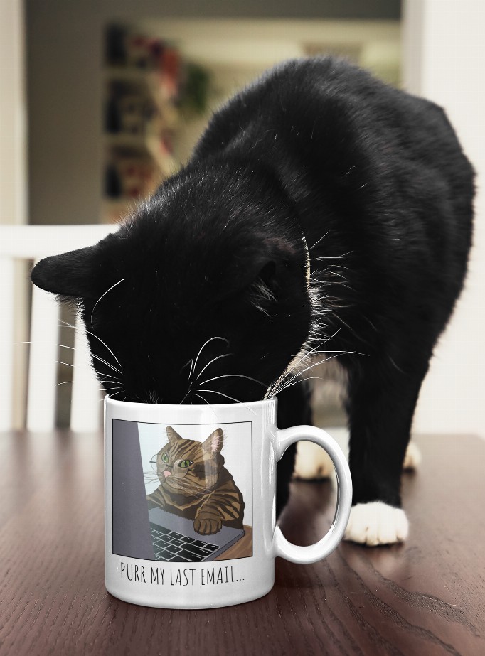 Purr My Last Email Coffee Mug