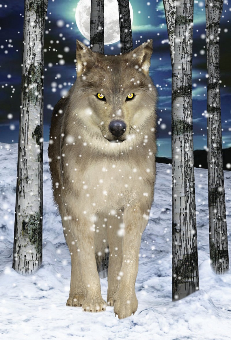 Animal Art - 3D Magnet - Wolf