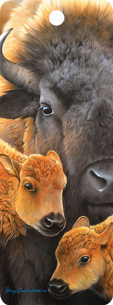 Buffalo and Calves - 3D Bookmark