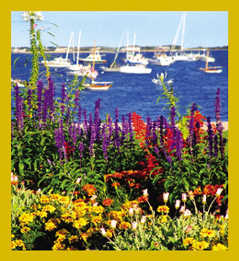 Colorful Harbor - Magnetic Bookmark