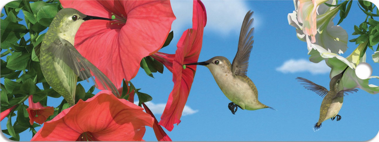 Hummingbirds - Motion Bookmark