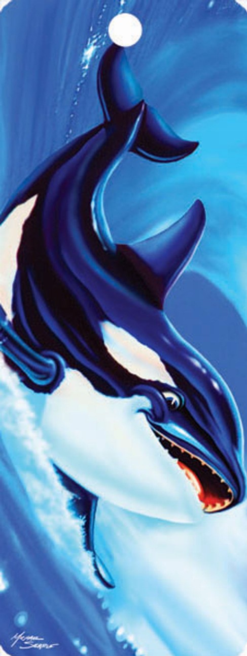 Killer Whale - Hi Def Bookmark