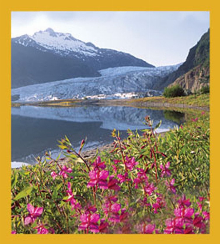 Mendenhall Glacier, AK - Magnetic Bookmark