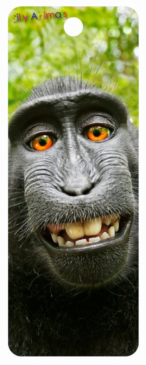 Monkey Selfie - 3D Bookmark