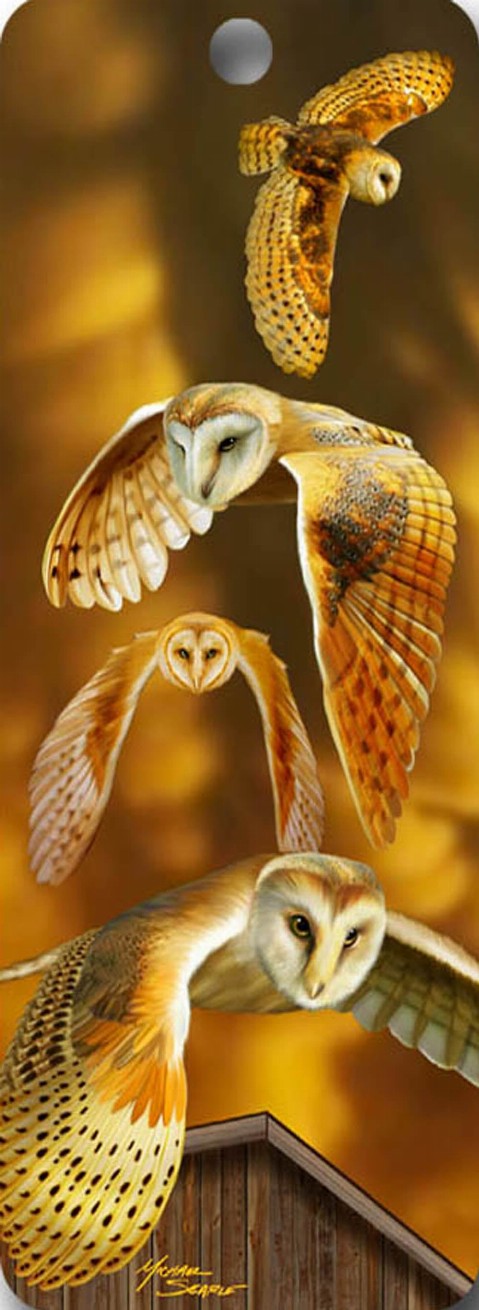 Owls - 3D Bookmark