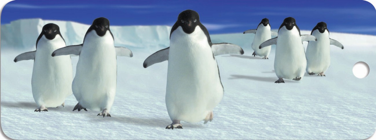Penguins Walking - Motion Bookmark