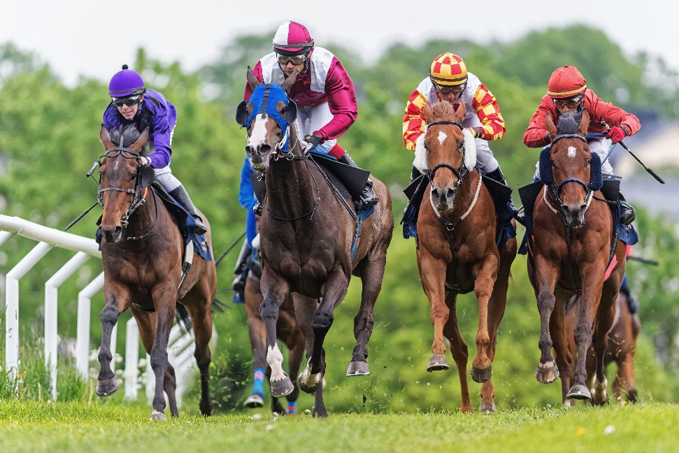 Racing Horses - 3D Postcard