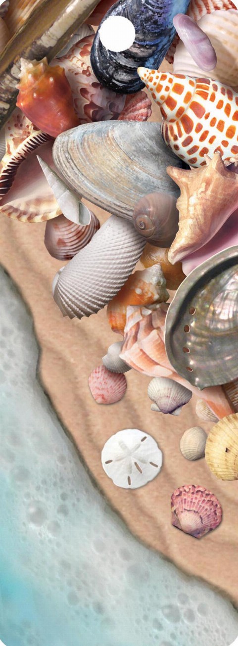 She Sells Sea Shells - Motion Bookmark