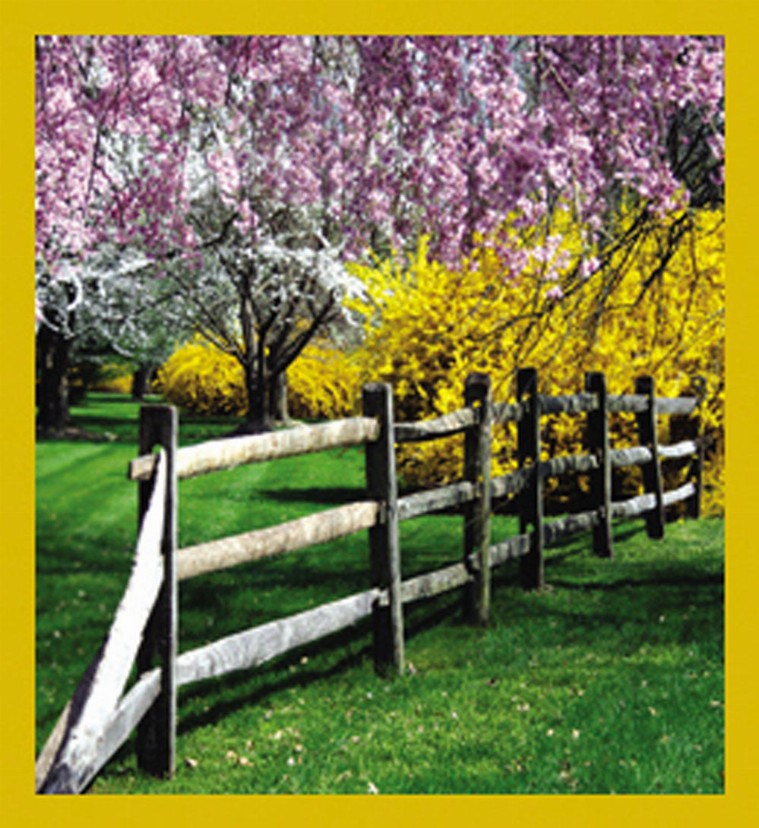 Spring Has Sprung - Magnetic Bookmark