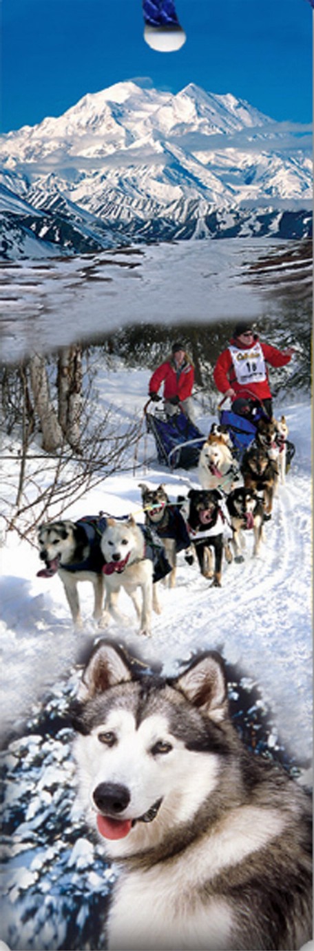 Tassel Bookmark - Sled Dogs