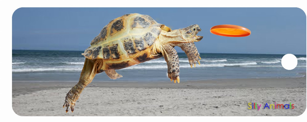 Turtle Frisbee - 3D Bookmark