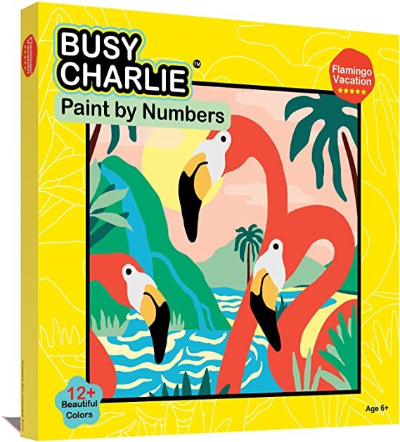 Paint by Numbers Kit for Kids Assortment