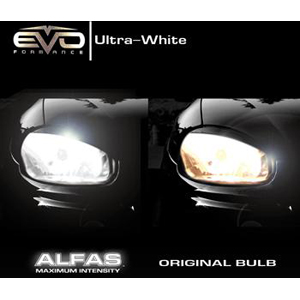 EVO Formance Alfas Maximum Intensity H11 Intense White Halogen Bulbs - Twin Pack