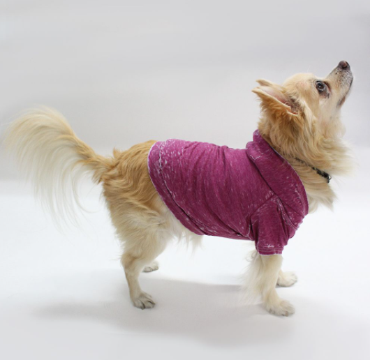 Doggy Hoodie - Large Magenta