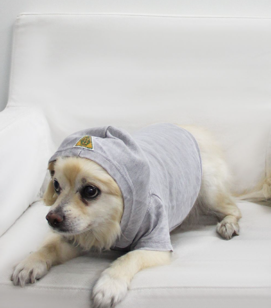 Doggy Hoodie French Terry - Large Asphalt