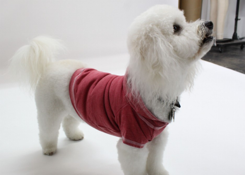 Doggy Hoodie French Terry - Medium Brick