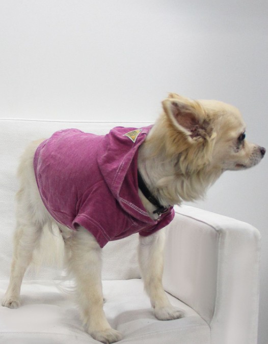 Doggy Hoodie French Terry - Large Magenta