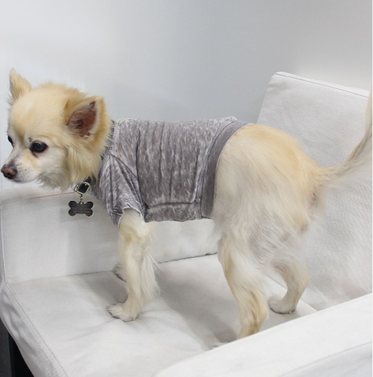 Doggy Tee - Small Coco