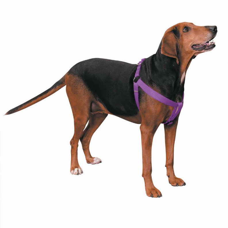 CC Nylon 2 Step Harness 15-25in Purple