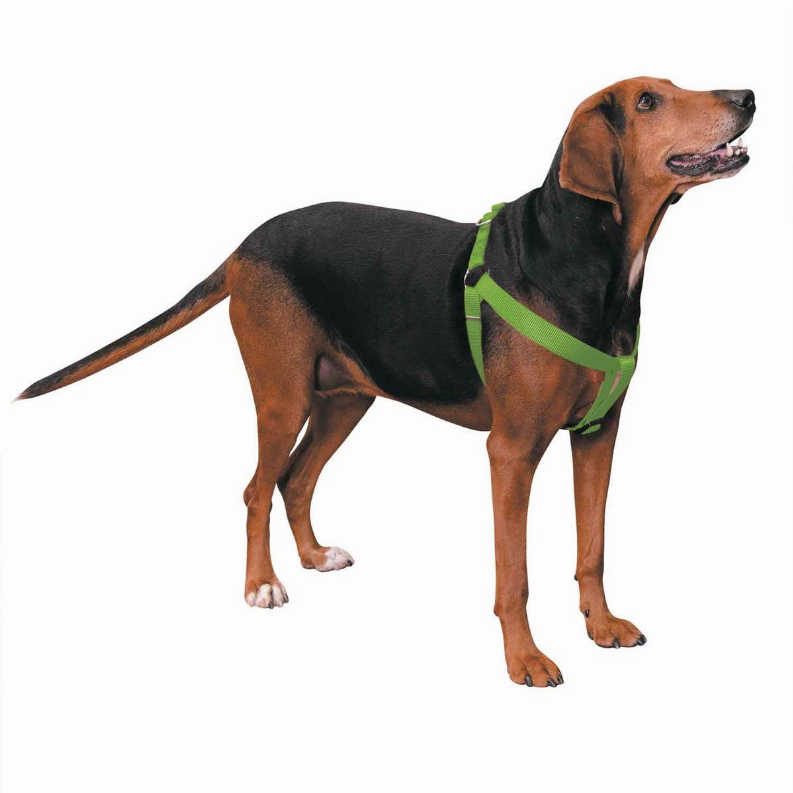 CC Nylon 2 Step Harness 9-15in Light Green