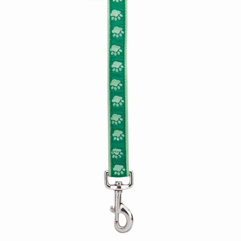 CC TwoTone Pawprint Lead 4ftx5/8in Green