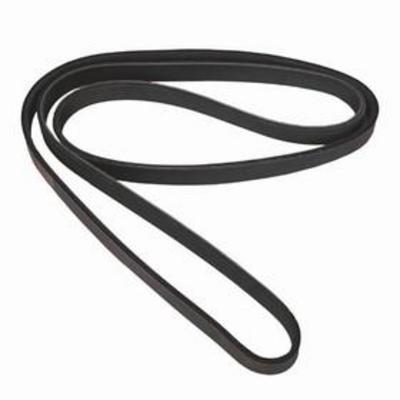 SERPENTINE BELT