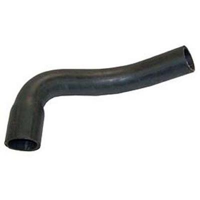 RADIATOR HOSE (LOWER-OUTLET)