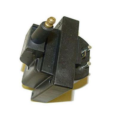 IGNITION COIL (2.5L, 4.0L)