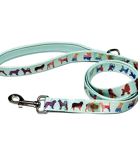 Dog Leash - Small Seafoam