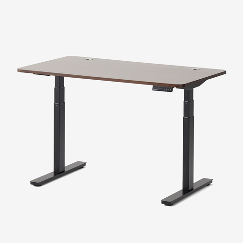 Premium Dual Motor Electric Standing Desk, 26" - 52" Height Range, 40" - 73" Length Range Frame, 300 lbs Lifting Capacity, Black