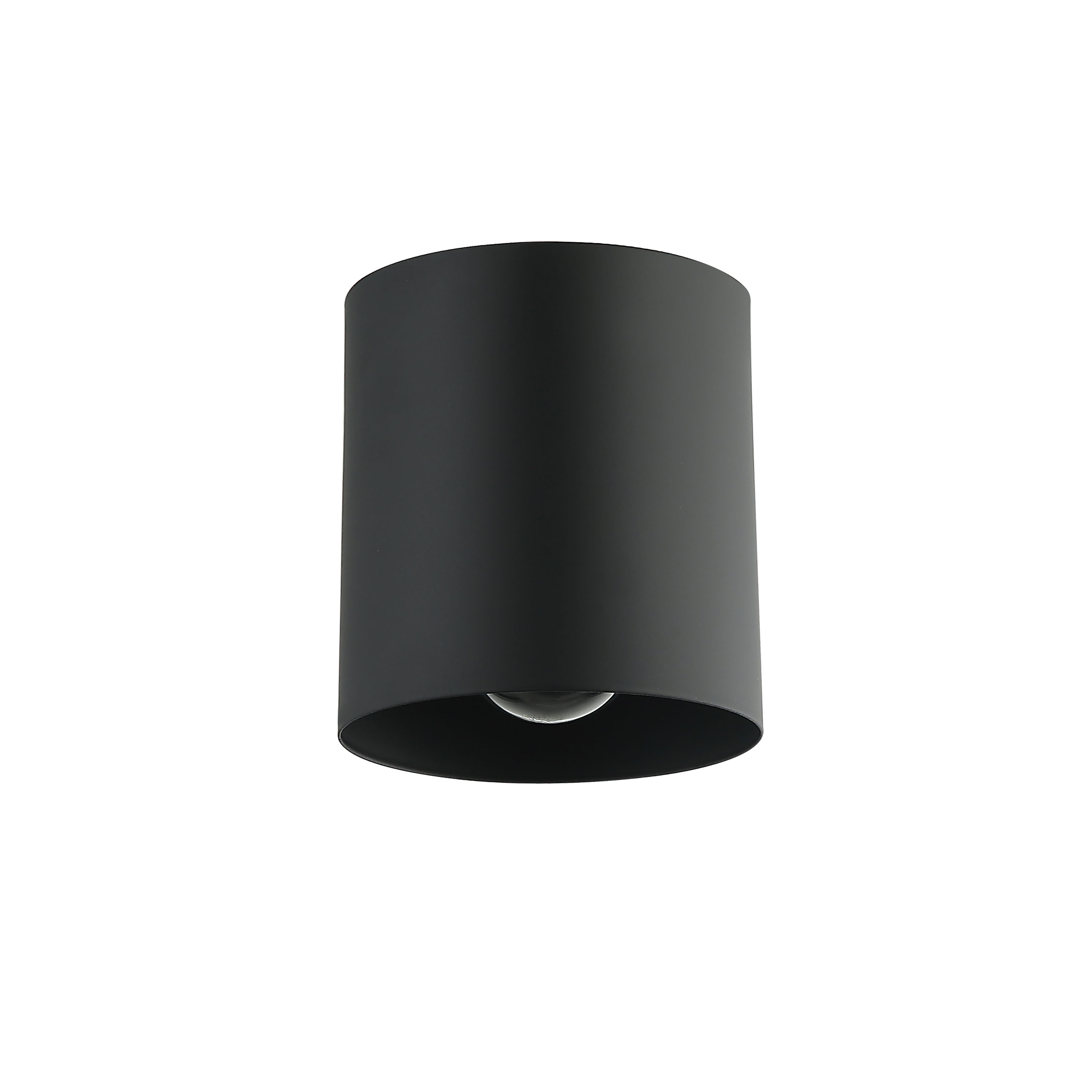 1 Light Matte Black Flush Mount