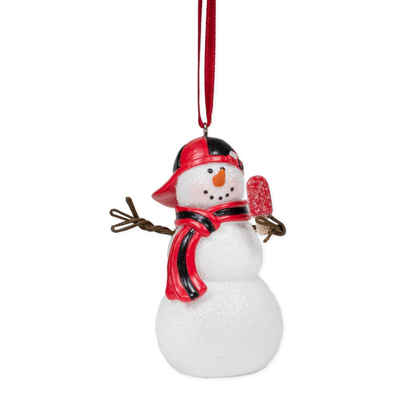 Snowboy Ornament