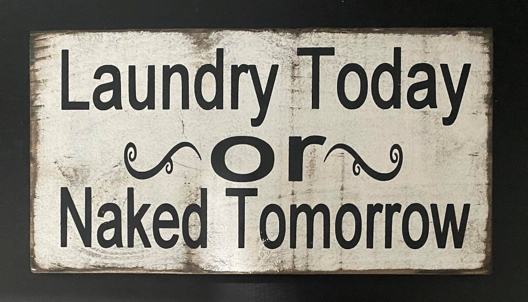 Laundry Today Or Naked Tomorrow