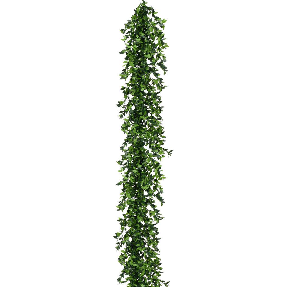 FHF 9' Boxwood Garland, No Lights