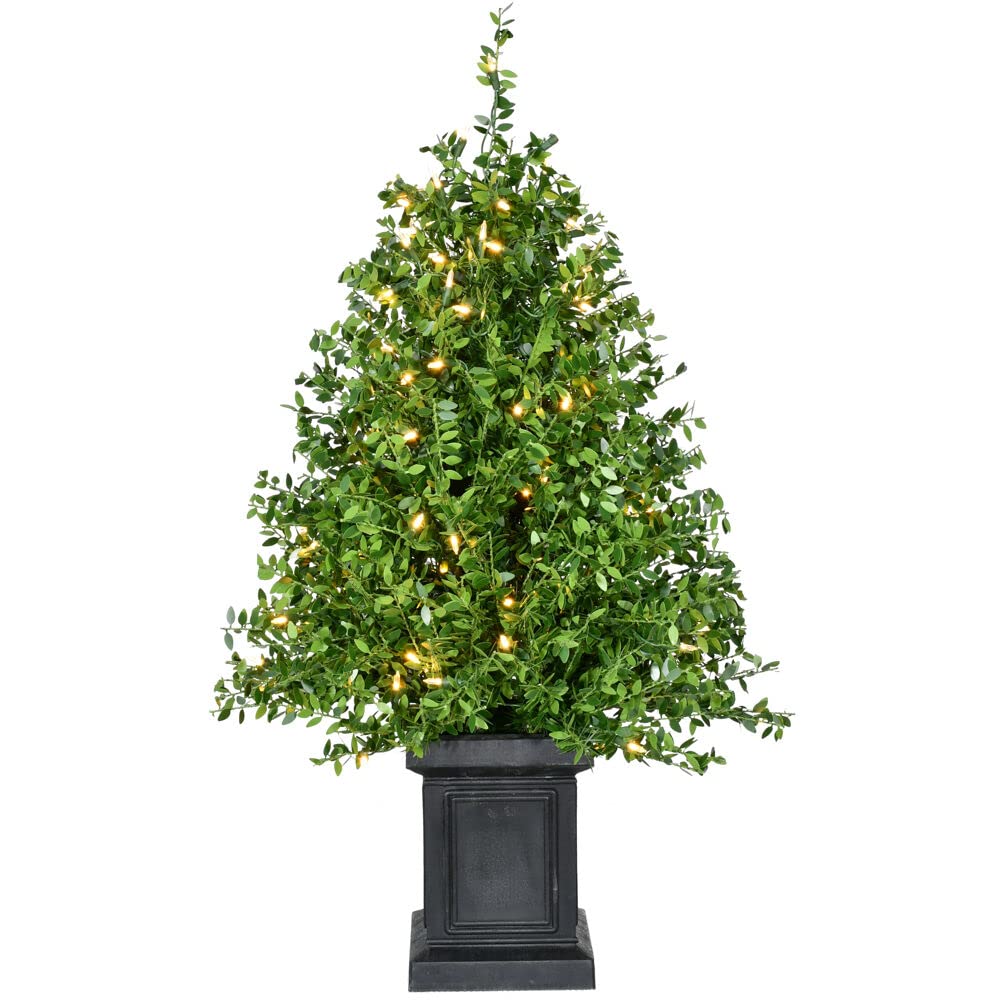 FHF 3' Boxwood Tree in Black Pot