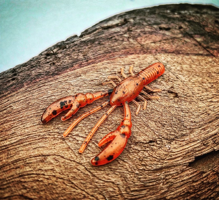 Patriot Tribe Oneida (Fire Craw)