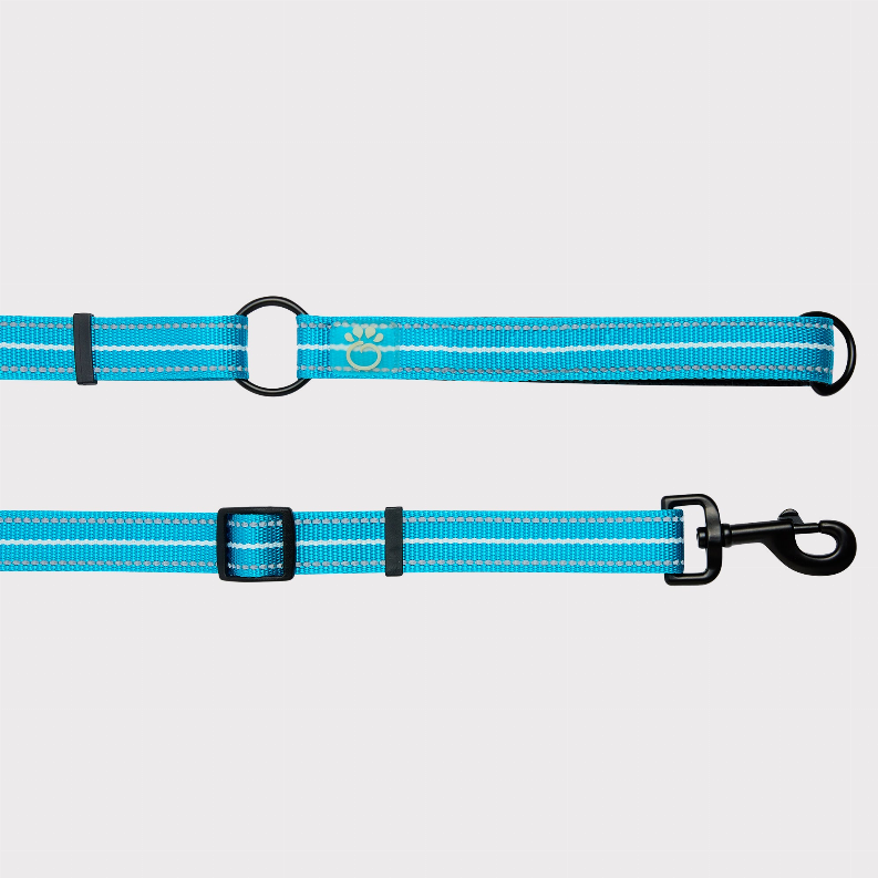 GF Pet Reflective Leash - EEZY-6 Medium/Large Neon Blue